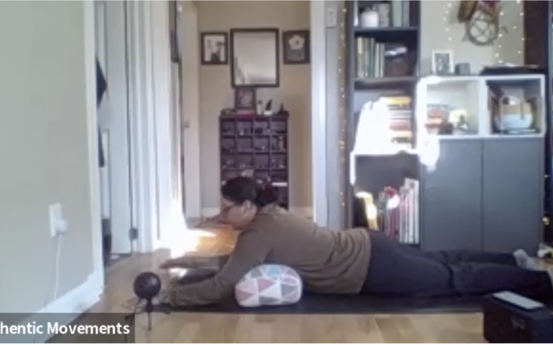 Winter Solstice Inspired Yin/Restorative